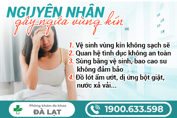 Hình ảnh minh họa
